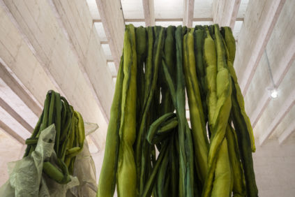 英格拉·伊尔曼，《伟大的海藻日》，北欧馆，2019年第58届威尼斯艺术双年展