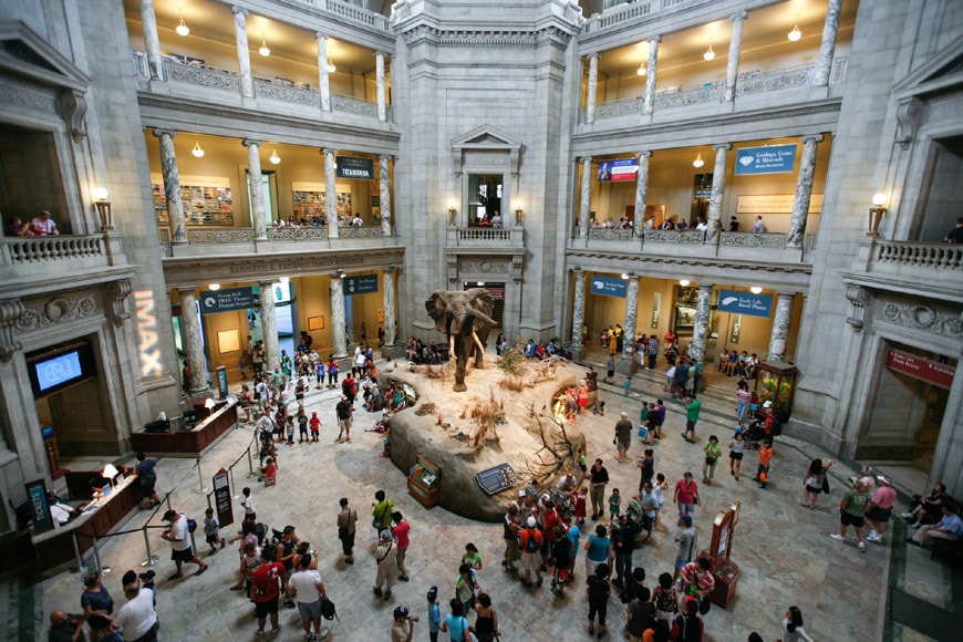 史密森尼国家自然历史博物馆华盛顿特区圆形大厅