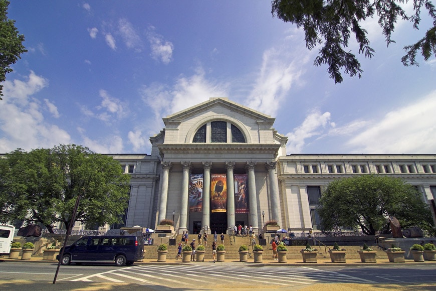 史密森尼国家自然历史博物馆华盛顿特区的正面
