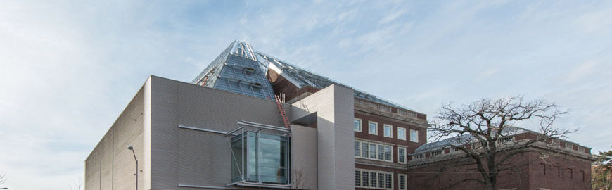 Harvard-Art-Museums-Expansion-Renzo-Piano 04