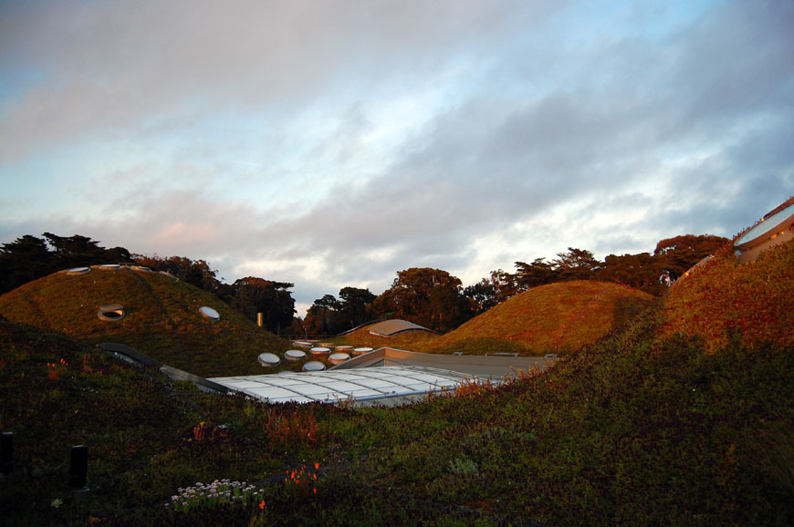 加州科学院旧金山伦佐·皮亚诺居住屋顶