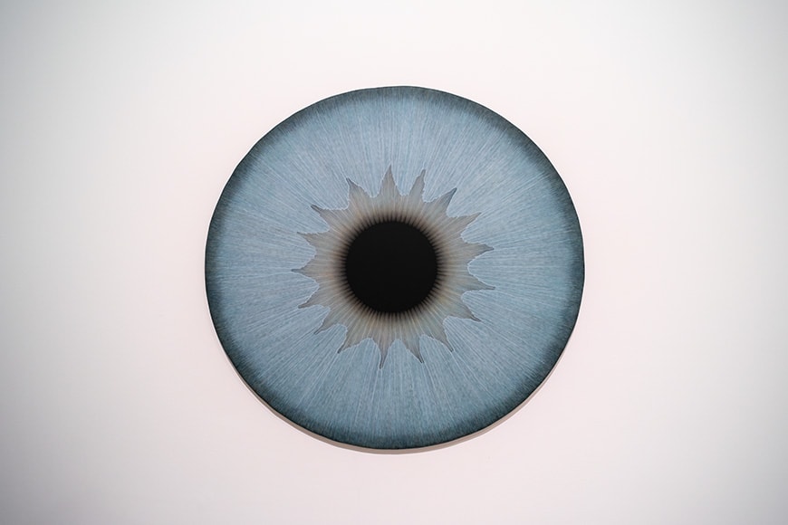 乌拉·维根，虹膜绘画，2022年威尼斯艺术双年展，未展出