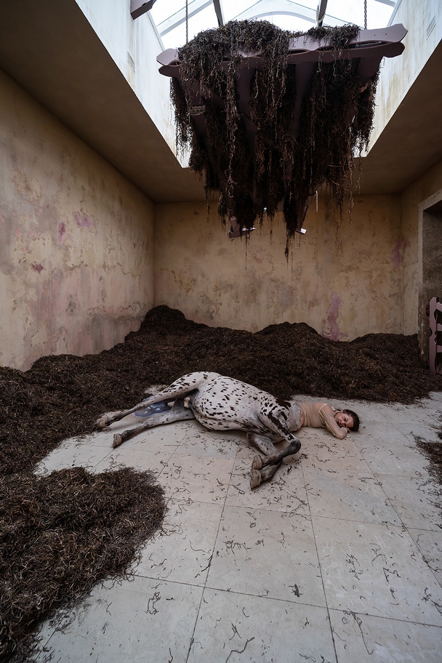 乌夫·伊索托，《我们走过地球》，丹麦馆，2022年第59届威尼斯艺术双年展