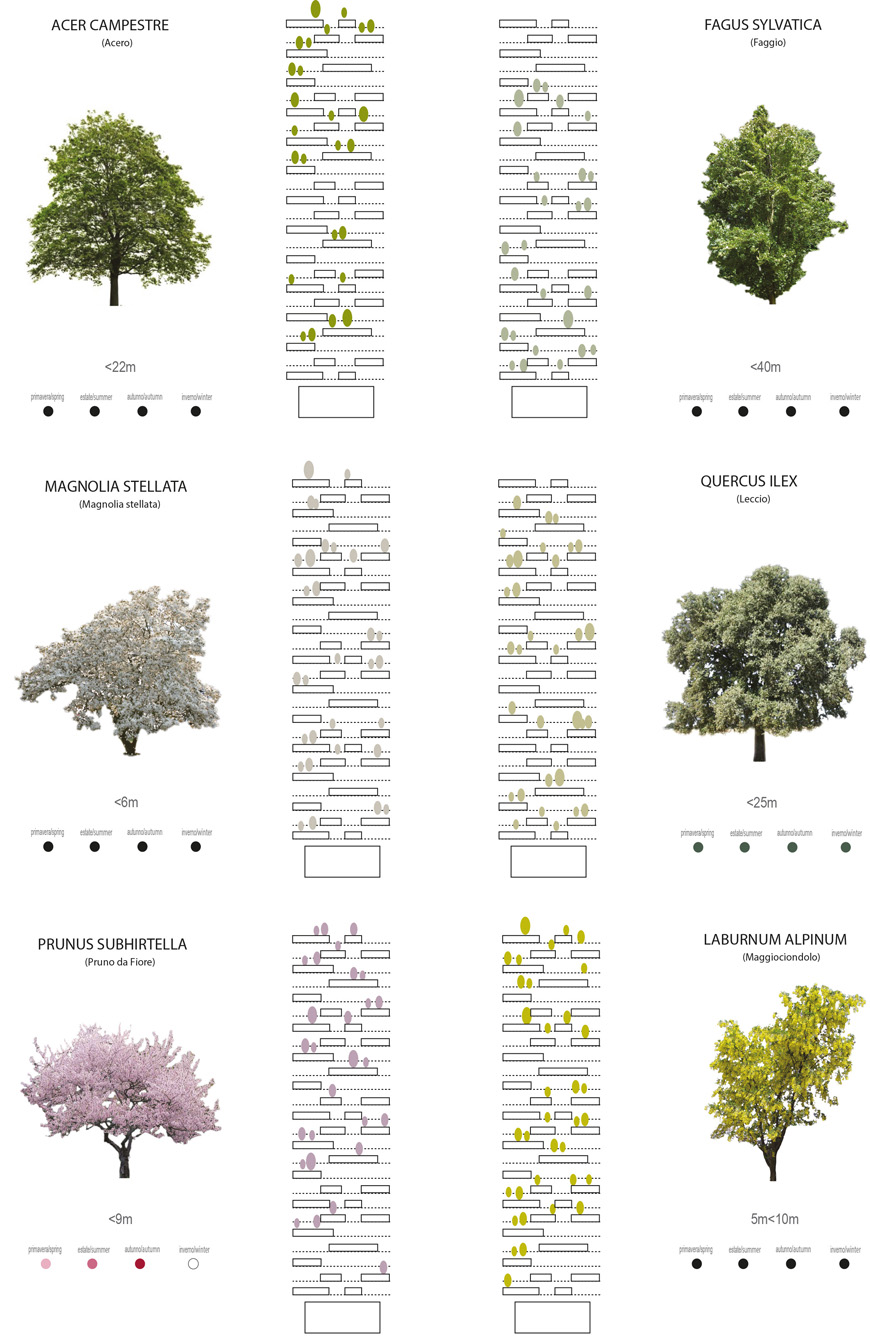29-Vitra-爱游戏体育下载网址Design-Museum-Garden-Futures-Boso -verticale-trees-scheme-1